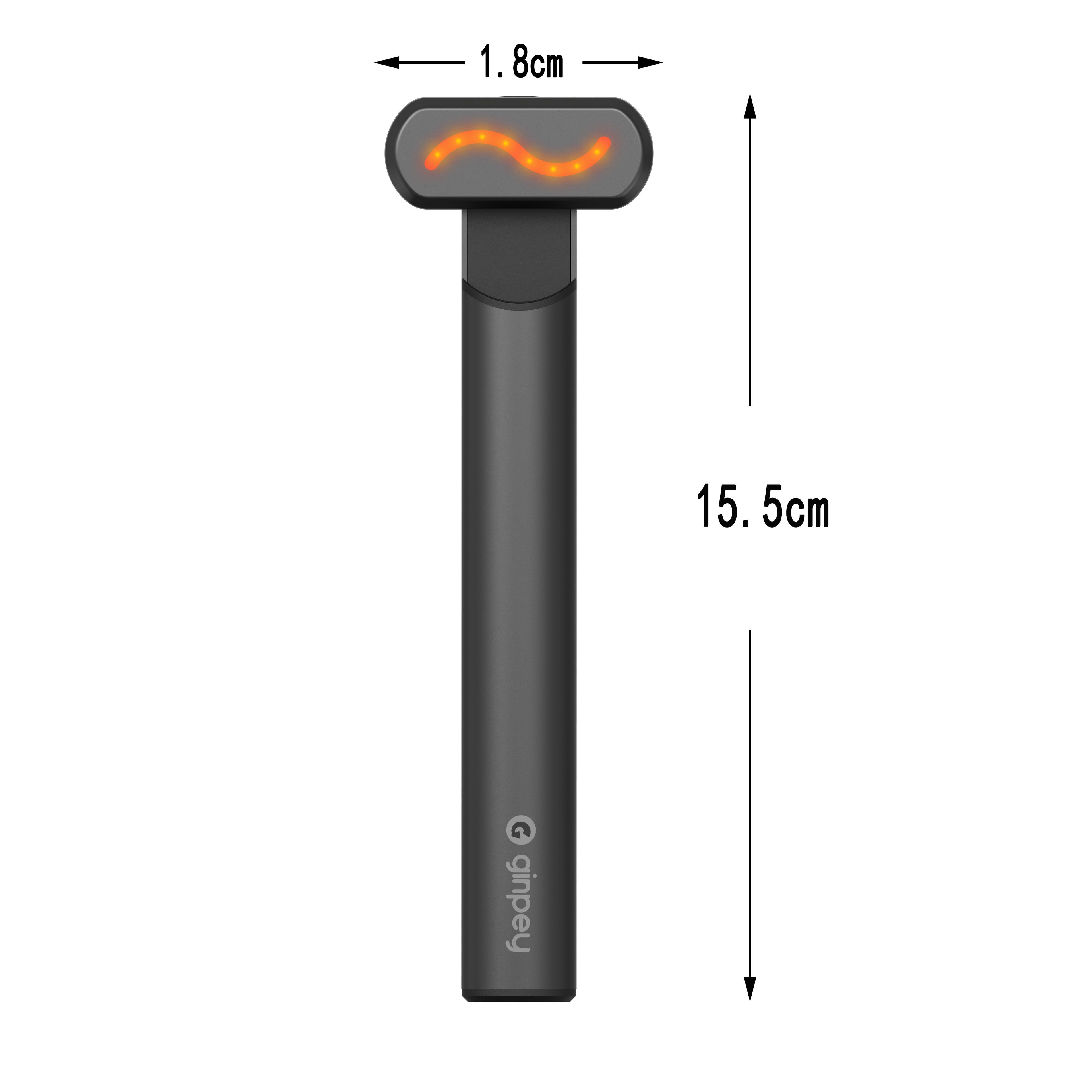 4 in 1 LED Facial Massager....